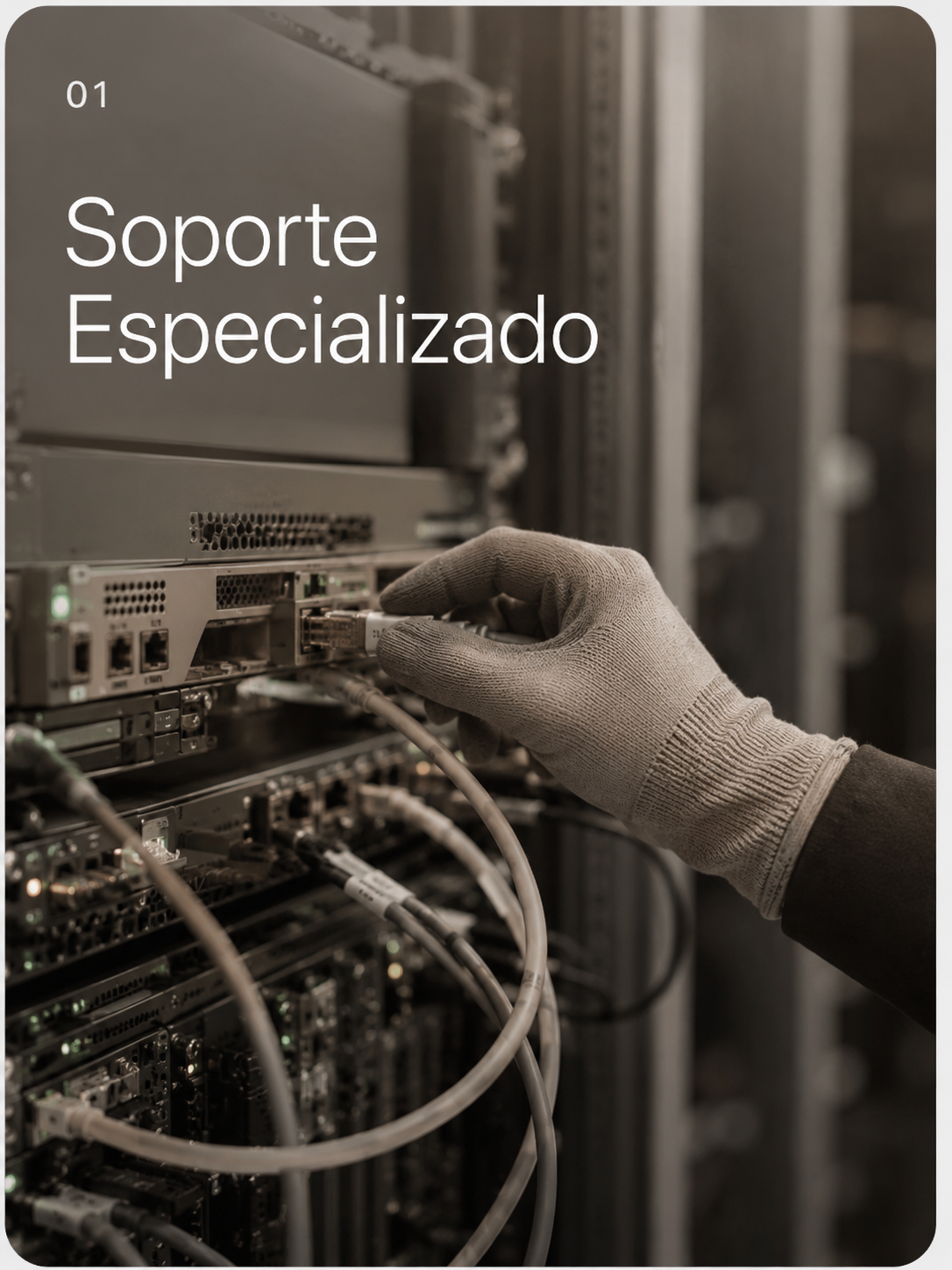 Soporte Especializado
